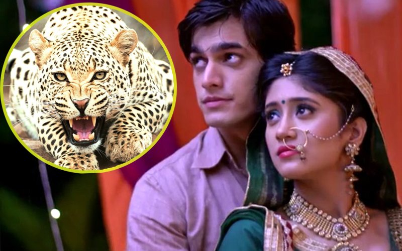 omg!leopardspottedonthesetsofyehrishtakyakehlatahai